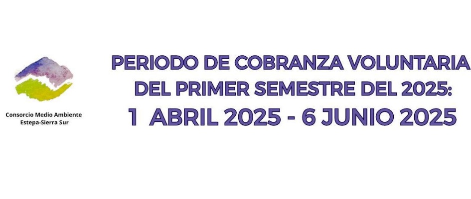 CONS-ESTEPA202525sariche 2024(1)